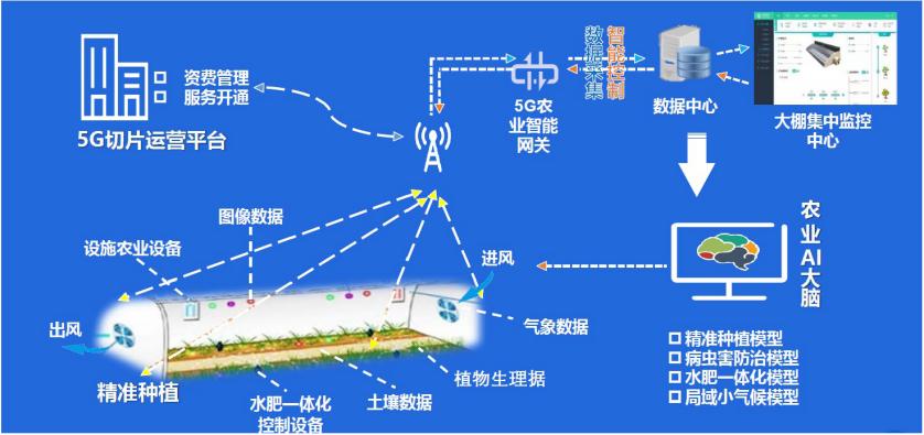 传感器网络构建.jpg